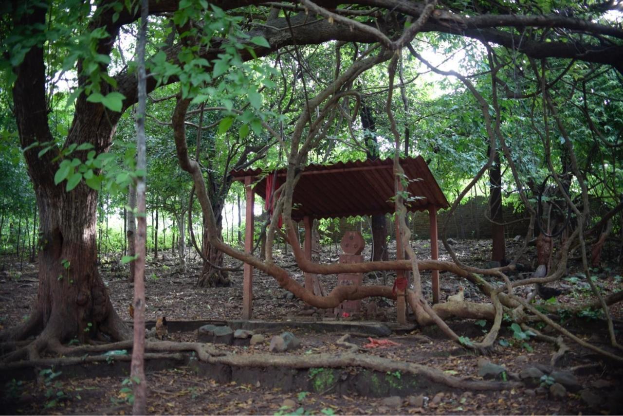 Zohra Baugh, A Green & Organic Farmhouse Stay With All Amenities Dahanu Eksteriør bilde