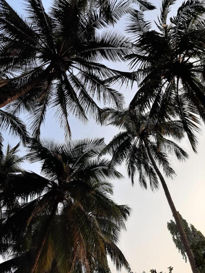 Zohra Baugh, A Green & Organic Farmhouse Stay With All Amenities Dahanu Eksteriør bilde