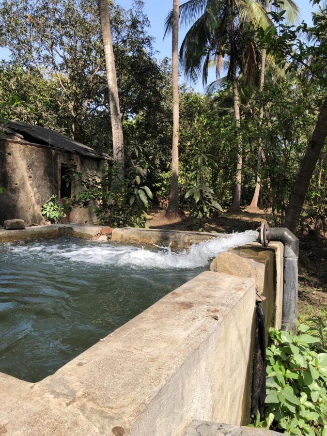 Zohra Baugh, A Green & Organic Farmhouse Stay With All Amenities Dahanu Eksteriør bilde